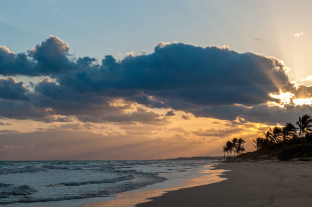 Silhouettes of palm trees on a tropical beach at sunrise