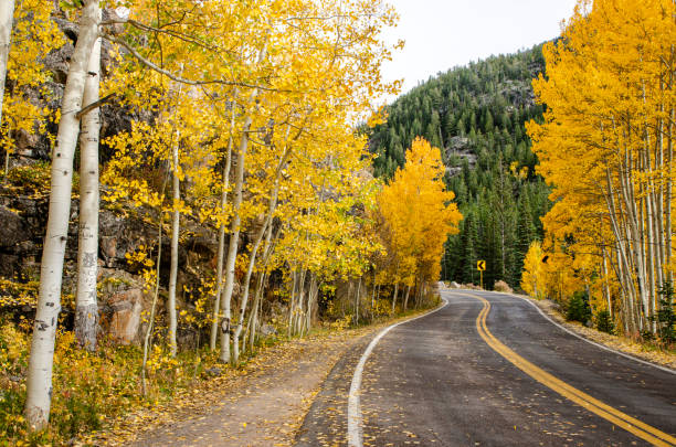 istock Independence Pass in the Colorado Rocky Mountains 2161366874