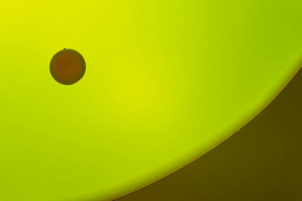 Drops of oil in a liquid