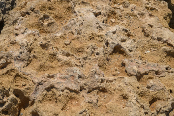 istock Rocky texture background with copy space for design. Web banner. 2161372744