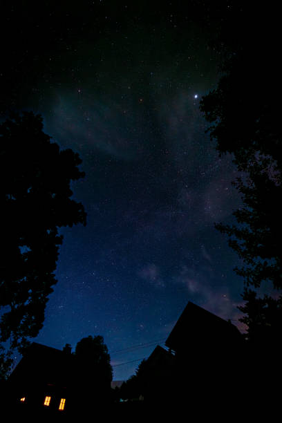 Dark night with stars on blue sky with silhouette of houses and trees