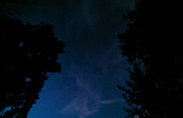 istock Dark night with stars on blue sky with silhouette 2161377051