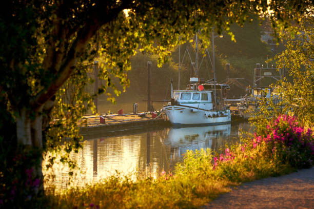 istock Scotch Pond Gillnetters at Dock Steveston 2161378116