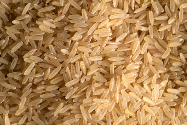 istock Healthy food. 2161380772