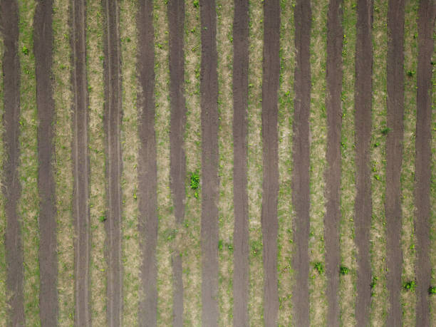 istock Cultivated dry agricultural field 2161380995
