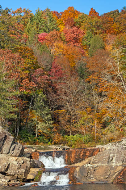 istock Stream and Waterfall Coming Out of the Fall Forest 2161382492