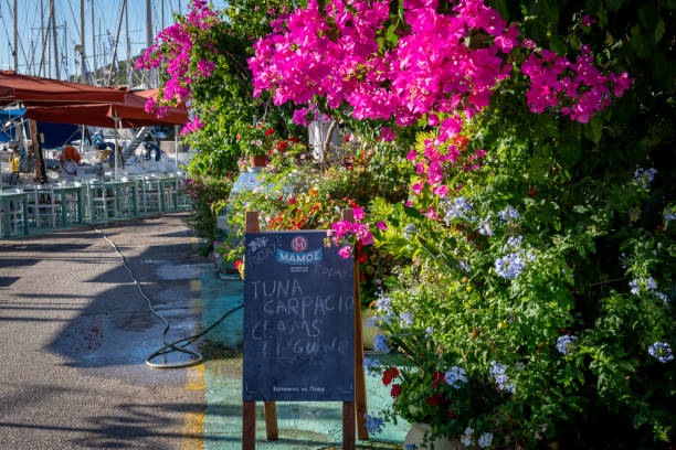 Sivota, Lefkada, Greece- 07.03.2024. A taverna on the promenade with beautiful potted plants and flowers.
