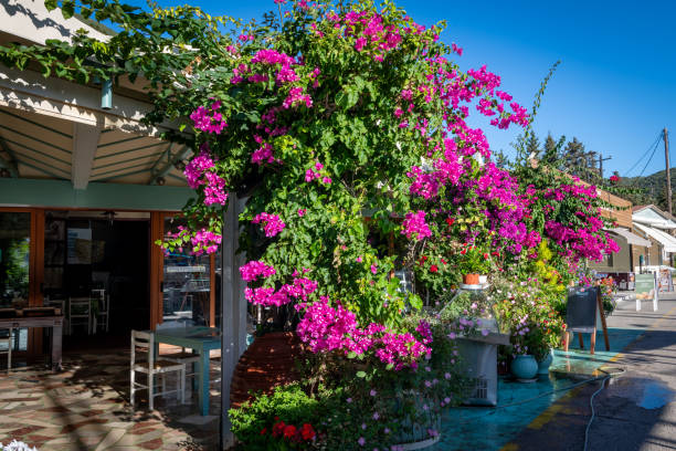 Sivota, Lefkada, Greece- 07.03.2024. A taverna on the promenade with beautiful potted plants and flowers.