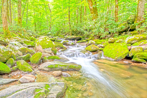 istock Great Smoky Mountain Streams 2161392559