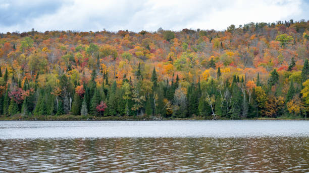 istock Lac Bouchard 2161394027