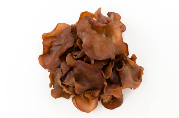 istock Jew's ear mushroom on white background 2161394675