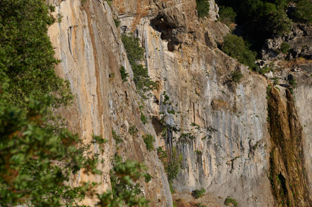 istock Vertical rock face with vegetation growing on the surface in natural sunlight 2161395175