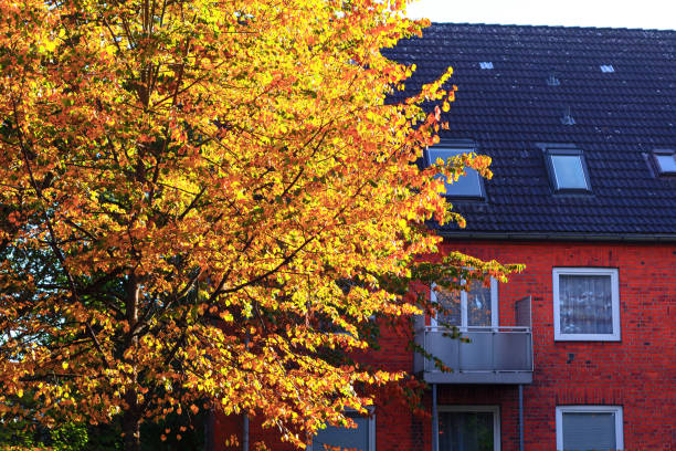 istock Autumn tree is in front of a house 2161396086