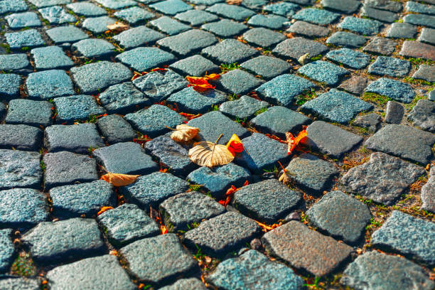 Cobblestone walkway with a autumn leaves on it. Pavement background in the fall season