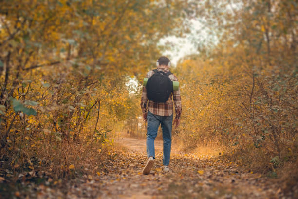 istock Backpacker facing away, walking into the forest; a man power walking in the autumn woods. 2161400200