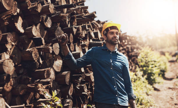 On the lookout for more lumber