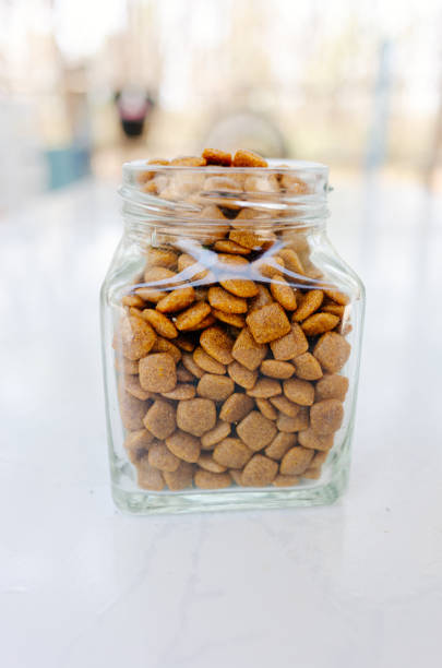 istock dog food 2161410358