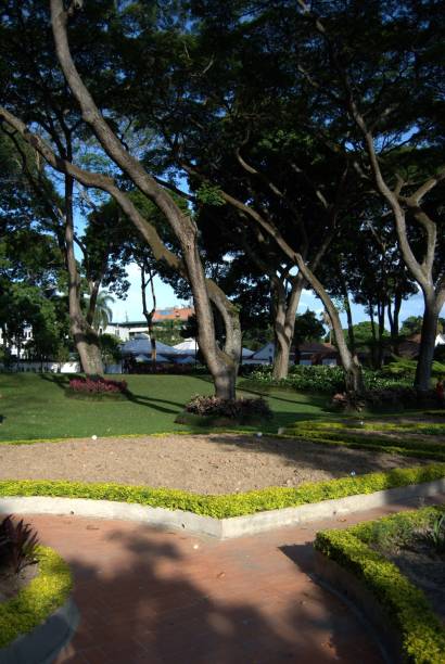 istock Parks and gardens in Caracas. 2161413034