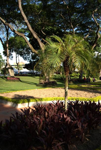 istock Parks and gardens in Caracas. 2161413035