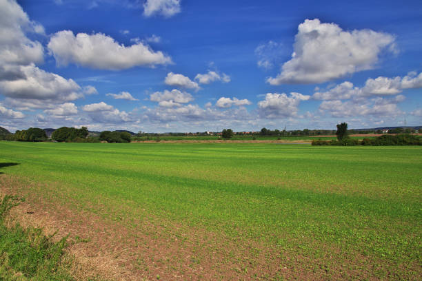The view on valley of Elbe river in Saxony, Germany