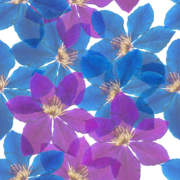 istock Clematis. Decorative art-deco design element, floral ornament. Seamless pattern for bandana, shawl, hijab, neck scarf. Kerchief design or tablecloth print, scarf, towel. For textile, cotton fabric 2161423096