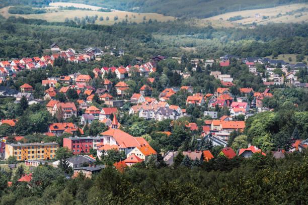 Mountains town. Roofs of houses among natural greenery. Forests and meadows natural landscape.