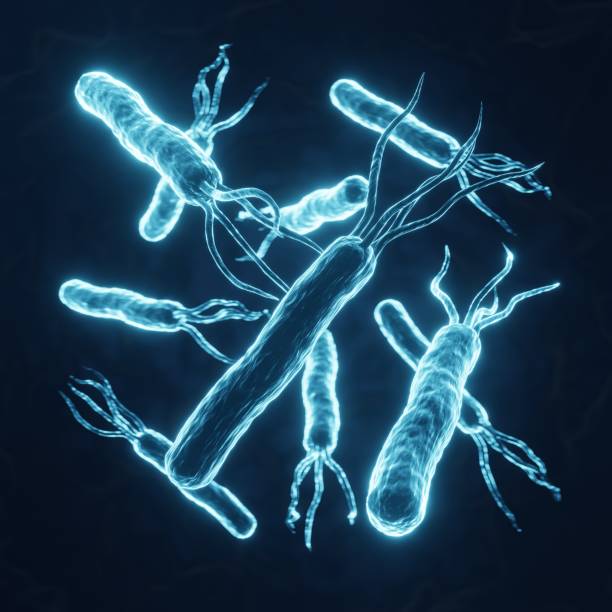 Helicobacter pylori bacteria cells on blue background. Gastritis disease. 3d-rendering