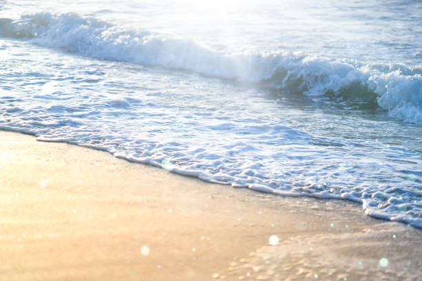 An ocean beach with calm waves. The water is clear and the sand is golden. The scene is calm and relaxed, created for solitude and relaxation.