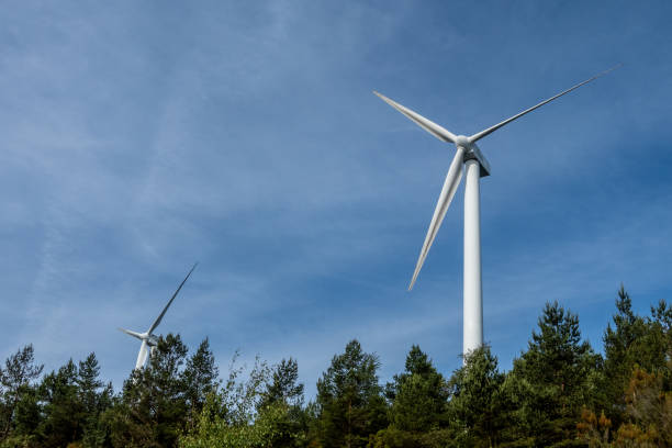 istock Wind turbines standing tall in a forest on a sunny day 2161434500