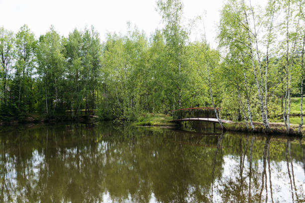 wooden bridge over the pond