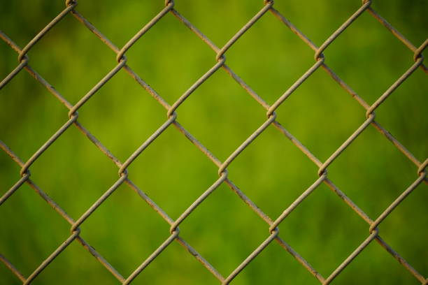 Light yellow and white netting, gray, black and green leaves are used as a background.