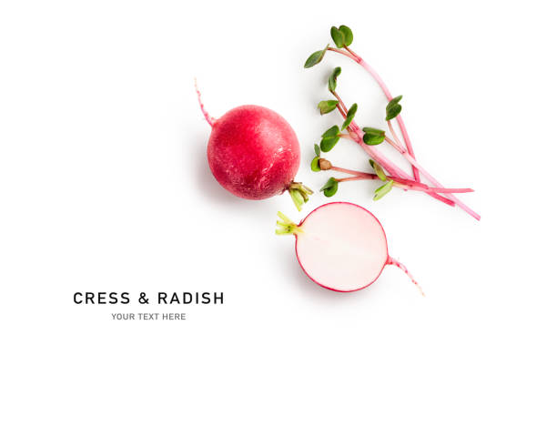 Cress salad and radish isolated on white background
