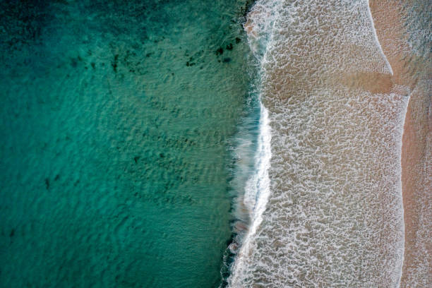 istock Idyllic, crystal clear, shallow turquoise ocean water lining a sandy shore with abstract sea foam textures. Captured from high above the beach. 2161443901