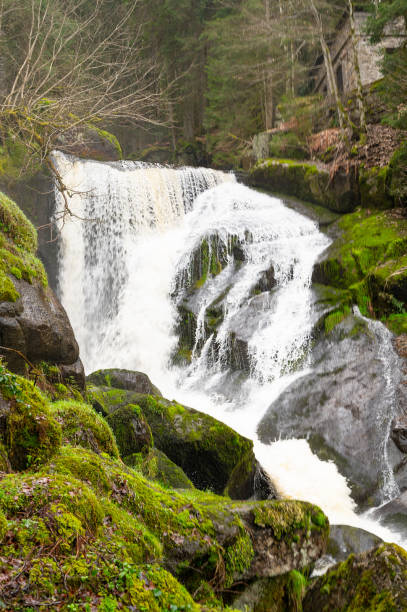 Triberg waterfall in the Black Forest, highest fall in Germany, Gutach river plunges over seven major steps into the valley, wooden bridge