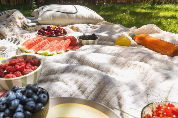 istock Summer picnic with watermelon and berries on blanket 2161446410