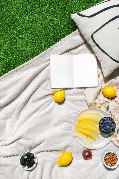 istock Summer picnic with fruit and book on white blanket 2161446415