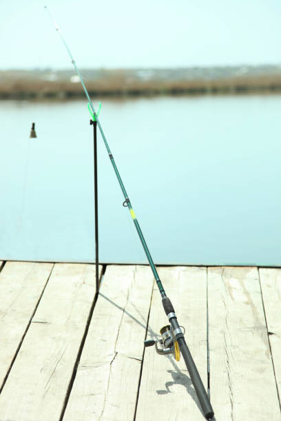 istock Green fishing rod 2161450165
