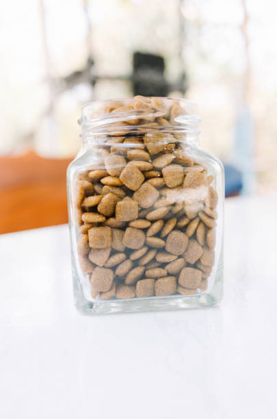 istock dog food 2161452692