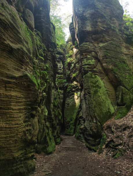 istock A pathway cuts through tall sandstone cliffs covered in moss and green foliage 2161454027