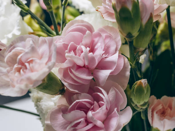 istock Bouquet of white eustomas and pink carnations close-up 2161458236