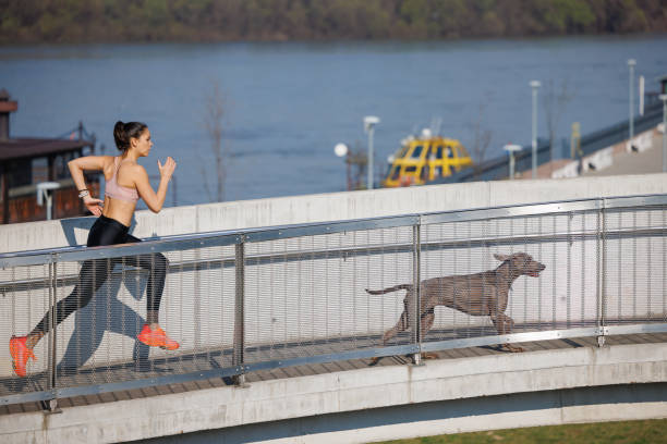 istock Active young woman running with her dog on elevated walkway by the river 2161460041