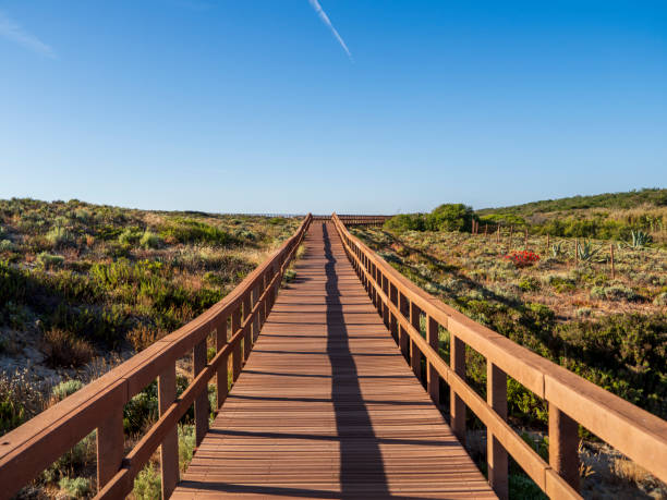 istock Wooden footbridge 2161466231