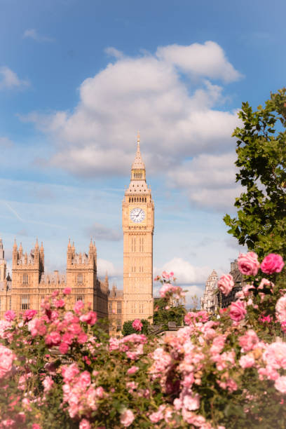 istock The Big Ben with Rose Garden 2161467058