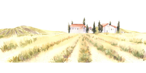 Landscape with harvest field, houses, trees, bushes and mountains, hills. Watercolor rural Provence, natural countryside France. Hand draw illustration on isolated background for poster, label, card