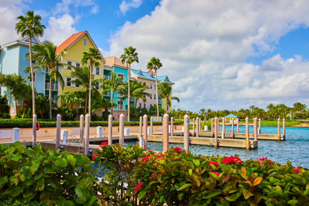 Tropical Waterfront Dock with Pastel Buildings and Palms, Bahamas