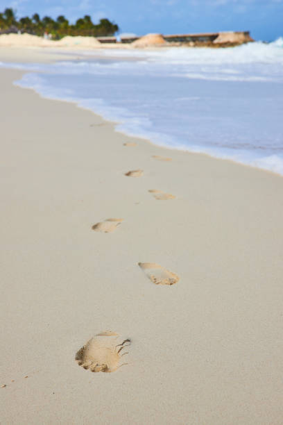 A child's footprint in the sand on the beach.