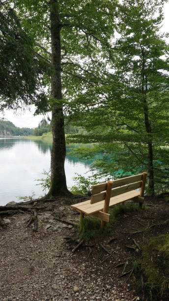 istock Finding a bench with a perfect view over a lake 2161474951