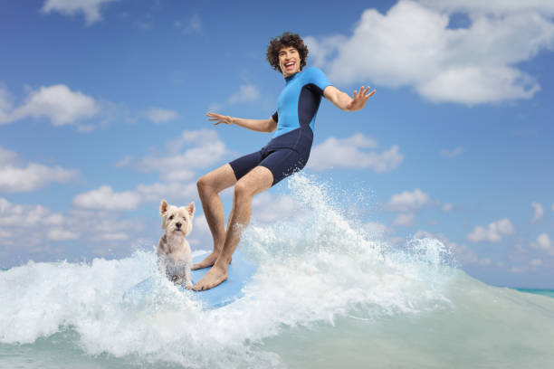 istock Man in a wetsuit riding a surfboard 2161480497