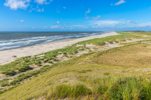 istock Dutch North Sea beach and dunes on a windy day 2161482853