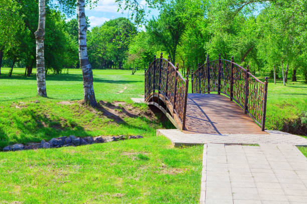 Footbridge over a grassy field with trees in the background in the springtime
